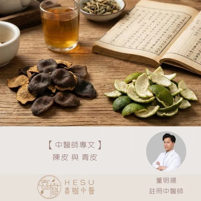 陳皮 與 青皮